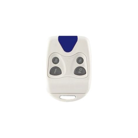 Proget Echo Gate and garage door remote