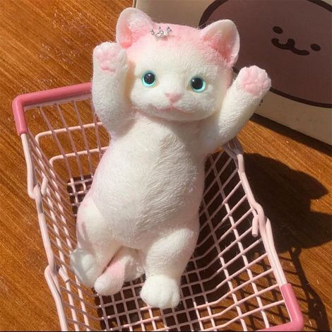 Squishy Chat - Jouet Sensoriel Anti-Stress en Gel Souple - Idéal pour Enfants et Adolescents - 1 Pièce (1/5)