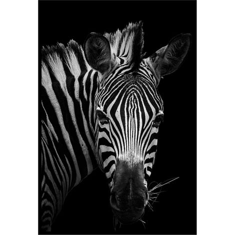 Affiche encadrée zèbre artistique en noir et blanc (1/5)