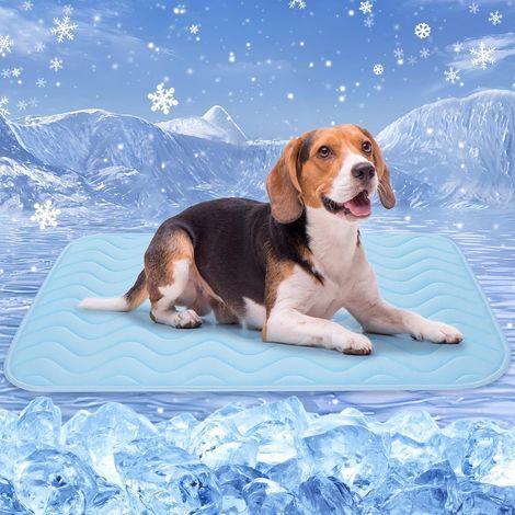 Tapis Rafraichissant Chien Chat. 70x50cm Tapis Rafraichissant pour Chien. Soie Glacée Respirant. Coussin Rafraîchissant Lavable. Durable. Idéal pour Les Animaux de Compagnie en été. Bleu (1/5)