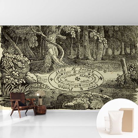 Papier peint intissé avec imprimé pour décoration intérieure pour rénovation a motif - Colle incluse gratuite Cercle magique 416x254 cm (1/5)