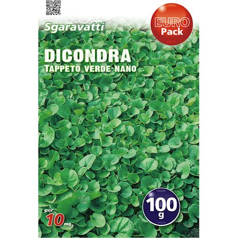 Seme confettato Dicondra tappeto verde nano 100g per 10mq Sgaravatti