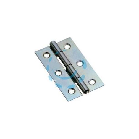 CERNIERE STRETTE PERNO FISSO ART.120 - mm.80x42x1,2 spess.