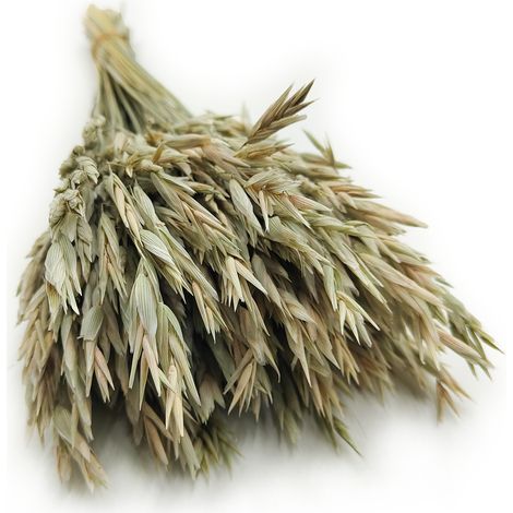 Avena deshidratada - Natural (1/5)