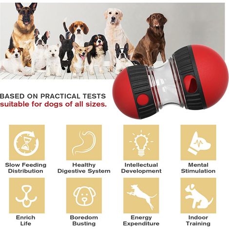 Giocattoli per cani, giocattoli di intelligenza per cani, giocattoli dispenser di cibo per cani, giocattoli puzzle per cani e gatti (rosso) (1/4)
