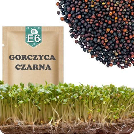 51Seed E06 SEMILLAS DE BROTES DE MOSTAZA NEGRA 20G