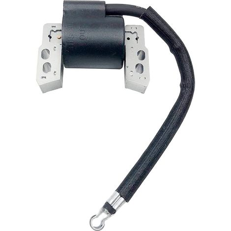 Bobine d'allumage, for Briggs Stratton, 695711 802574 493237 492416 796964 493237 095722 095732 096722 097772 104772 104777 110402 Bobine d'allumage pour Tondeuse à Gazon (1/3)