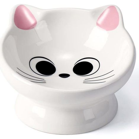 BelleRise - Gamelle en céramique pour chat avec une inclinaison de 15° pour protéger le dos du chat. (Rose) (1/5)