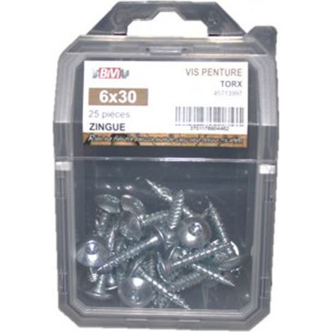 Vis penture Torx® Zingué bichromaté Coque de 25 pièces - 7 x 60 mm - BIVI