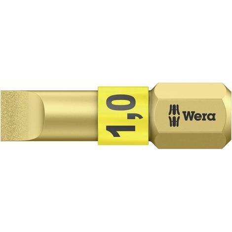 Wera Embout Standard BiTorsion 5,5 mm Acier (1/2)