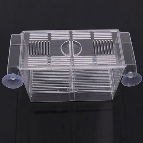 Pondoir Flottant 2 en 1 Aquarium d'Elevage Incubateur de Poissons Boîte (12 x 7 x 7cm) (1/5)