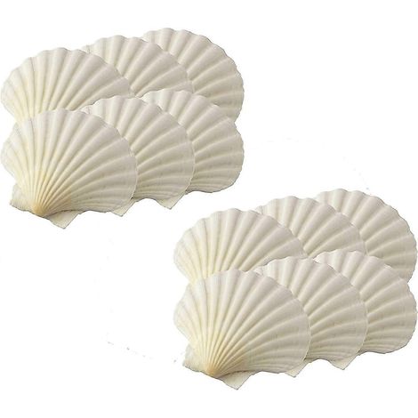 Maine Man Backmuscheln, 8,25 cm, 12er-Set, Naturmuscheln (1/3)