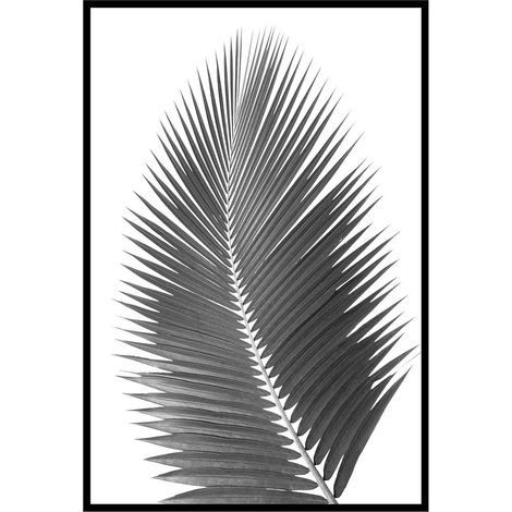 Affiche encadrée feuille de palmier noir et blanc