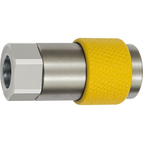 Riegler Unv. Dreh-Sicherheitskupplung NW 6, ISO 6150 C, G 1/4 IG, grau (1/3)