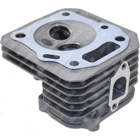 Testa cilindro BX46SQ Compatibile - 058318