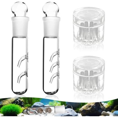 Achat rapide - Piège à planaires (lot de 4) pour aquarium - Piège à escargots efficace à 2 et 3 trous - Acrylique et verre transparents - Idéal pour capturer les planaires (1/5)