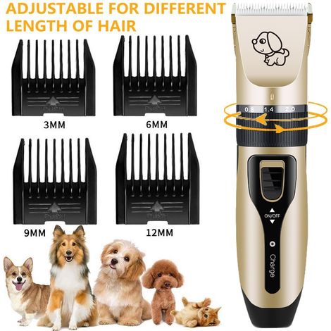 Kit tondeuse chien sans fil, coupe- poil animal domestique avec 4 peignes (1/5)