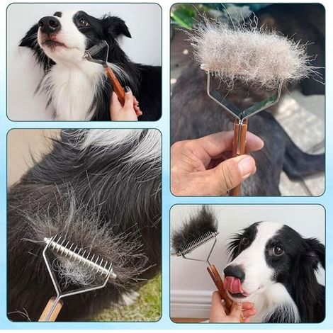 Brosse Chien Chat Anti Poils Animaux - Brosse de Toilettage pour Chiens de Compagnie et Chats - Peigne Démêlant pour Poil Long et Court (1/4)