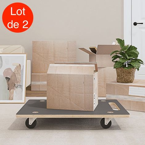 2 Chariots de Manutention sur roulettes, 80 cm Charge Maximale De 250 kg Avec Roulettes (1/5)