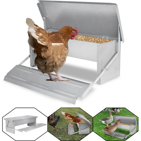 Hengmei – Mangeoire automatique pour poules en acier galvanisé – Pédale d'ouverture – Couvercle étanche anti-rats – Capacité 5 kg (1/5)
