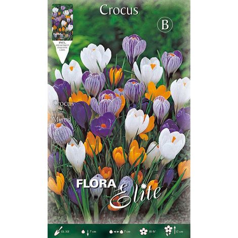 CROCUS VERNUS MIX (CONFEZIONE 10 BULBI)
