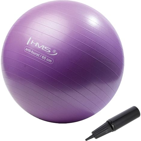 Palla da ginnastica viola da 65 cm - Anti-scoppio, antiscivolo (1/4)
