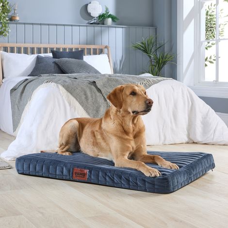Paws for Slumber Orthopedic Pet Bed, Navy, Large