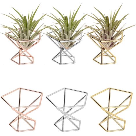Cadre géométrique pour plantes aériennes, cadre doré pour plantes aériennes, décoration géométrique en métal, cadre classique et moderne pour fougère aérienne, mini plantation dorée (1/5)