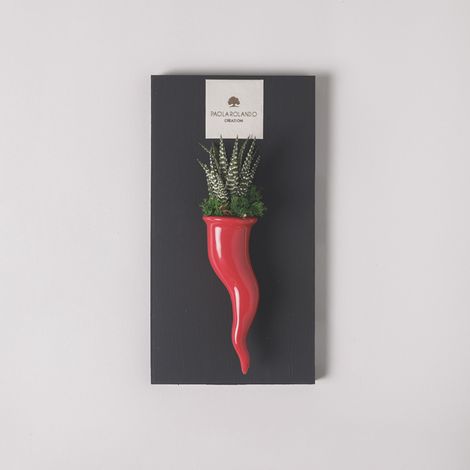 Pianta grassa succulenta in vaso ceramico artigianale Cornetto - Rosso