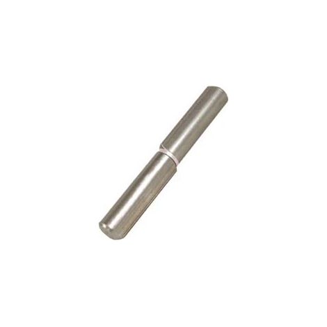 CERNIERE CON COSTA PERNO FISSO ART.255- - mm.120x ø 16 - 24 pezzi COMBI