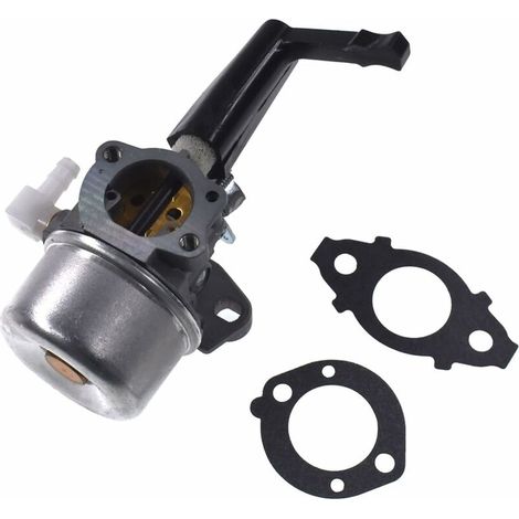 Carburatore di ricambio con kit guarnizioni per carburatore Briggs & Stratton 696065 697422 110402-0206-E1 Briggs & Stratton (1/4)