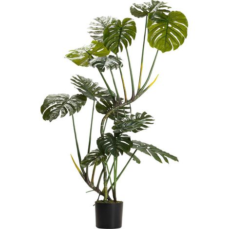Plante Monstera 110X70X155 Cm (1/2)