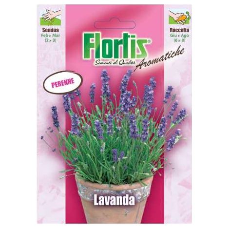 Flortis Semi di Lavanda - Busta Pronta per Semina - Fiori Aromatici