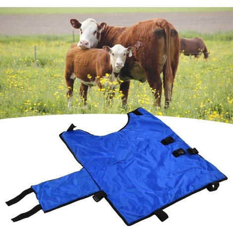 Combinaison thermique imperméable pour veaux XL (100x82cm) - Vêtement d'élevage (1/5)