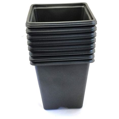 Vilmorin 15 Quadrattpfe, 9 cm