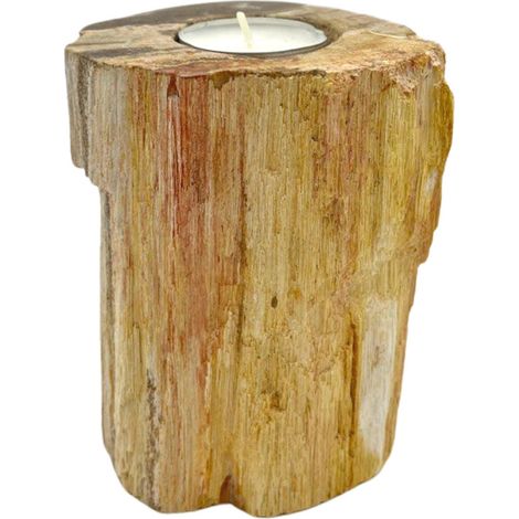 Bougeoir en bois pétrifié - Simple haut- Vendu par 1 (1/4)