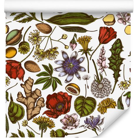 Papier peint à motif de plantes de prairie, herbes aromatiques et épices pour salon et chambre, 50 x 1000 cm (1/5)