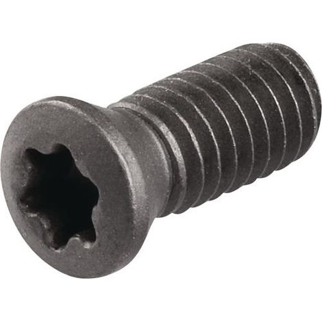 Spannschraube WS0410 Gr.T15 TECWERK (1/2)