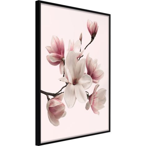 Affiche Murale Encadrée "Blooming Magnolias I" 40 x 60 cm Noir