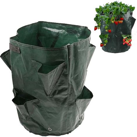 Sac de Plantation pour Fraises, Sacs de Plantation de Jardin, Sac de Plantation pour Fraise, 35 X 45cm (1/5)