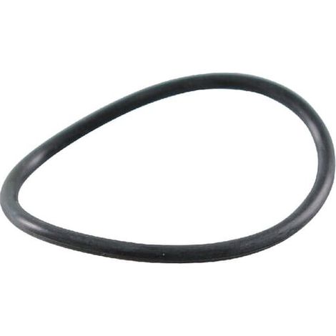 Anello di tenuta BRIGGS ET STRATTON 697123 (1/2)