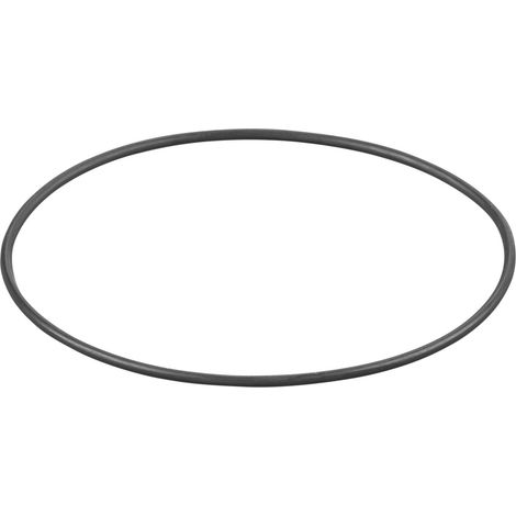 Rems O-Ring 060304