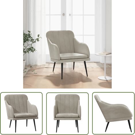 Furniture Limited - Fauteuil Gris clair 63x76x80 cm Velours (1/5)