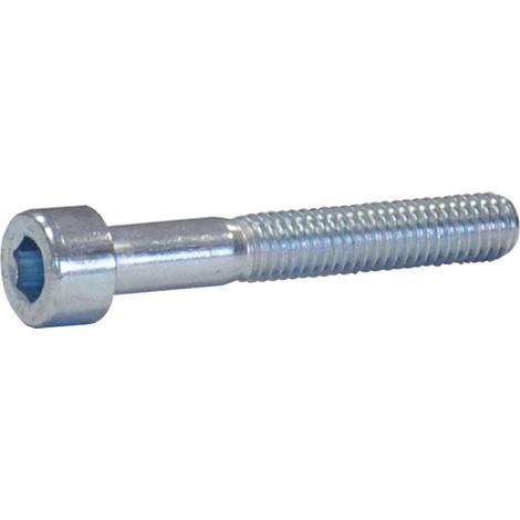 BULLONE TESTA CILINDRICA T.C.E.I. 12 x 60 mezzo filettato - 1 centinaio