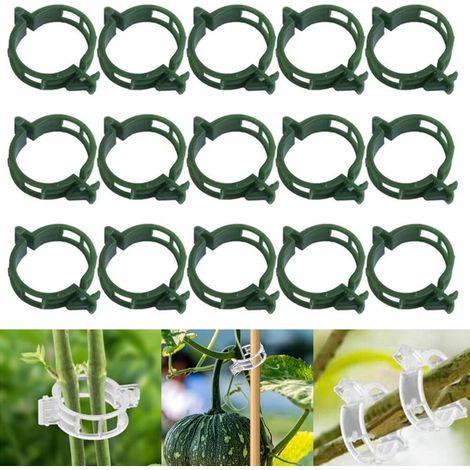 Clips de Support pour Plantes 2026 – Attaches pour Tomates, Vignes et Légumes, Pinces de Jardin Réutilisables en Plastique pour Tiges et Croissance Droit (Green-100pc) (1/5)
