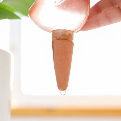 Arrosoir Automatique - Goutteur Pour Arrosage Progressif Des Plantes D Intérieur - Adapté Bouteille En Plastique - 1 Unite (1/4)