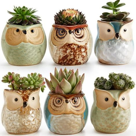 Pot à plantes céramique hibou, série base glaçure coulée, lot de 6 pots pour succulentes et cactus, 6,5 cm, avec trou de drainage. (1/5)