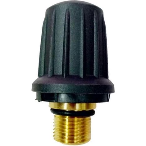 Verrou de sécurité en laiton pour nettoyeur vapeur Master avec joint torique noir 4.590105.0 pour modèles Kärcher (1/4)