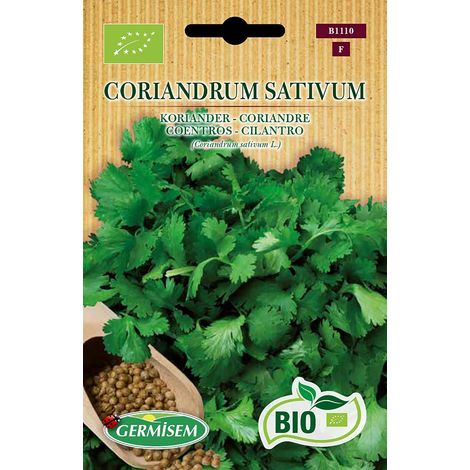 Bio Graines Coriandre Coriandrum Sativum ECBIO1110 Multicolore (1/5)