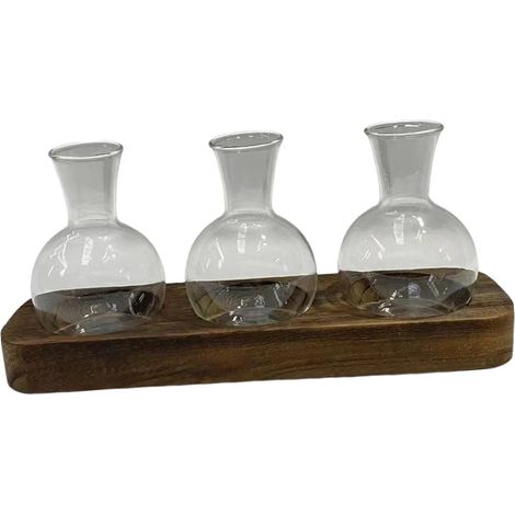 Jarrn De Cristal Para Plantas Hidropnicas Cesta Moderna (1/5)
